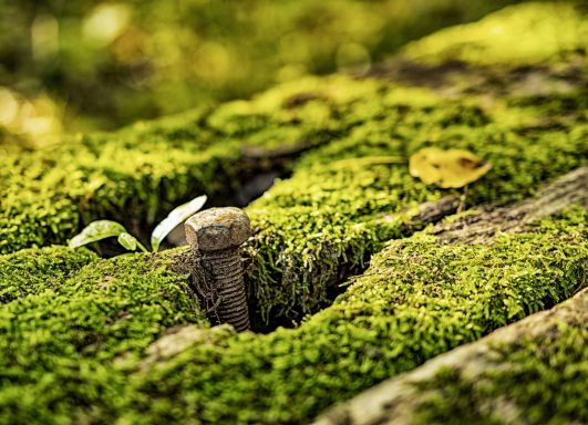 Schraube ragt aus einem alten Holzbalken